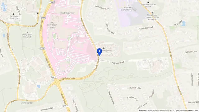 Mapa que muestra la ubicación de Long Island State Veterans Home en 100 Patriots Road, Stony Brook, NY 11790 — DachiPlus ofrece transporte médico aquí.